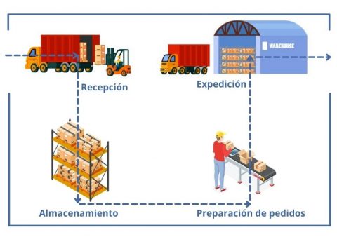 Layout de la bodega: cómo realizar un correcto diseño en planta y sus beneficios