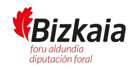logo diputación foral bizkaia